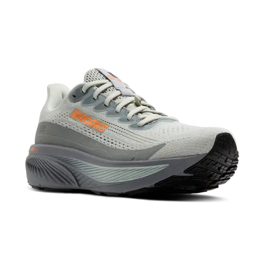 Brooks Ghost 17 GTX Men's